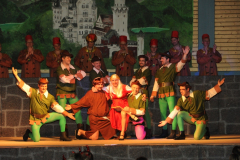 1_abendsitzung_2013_050_20161211_1266812867