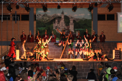 1_abendsitzung_2013_068_20161211_1653859184