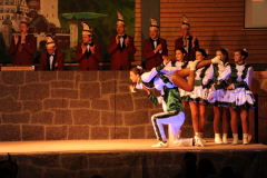 1_abendsitzung_2013_088_20161211_1578937045