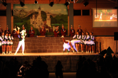 1_abendsitzung_2013_090_20161211_1927491140