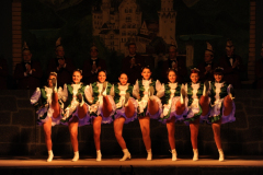 1_abendsitzung_2013_093_20161211_1816673961