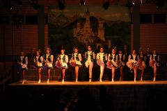 1_abendsitzung_2013_098_20161211_1122497811