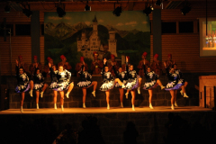 1_abendsitzung_2013_107_20161211_1207625188