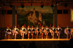 1_abendsitzung_2013_111_20161211_1105409584