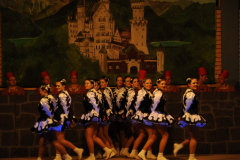 1_abendsitzung_2013_112_20161211_1621159569