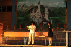 1_abendsitzung_2013_132_20161211_1788146580