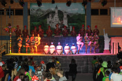 1_abendsitzung_2013_160_20161211_1082567906