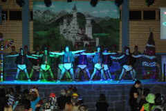 1_abendsitzung_2013_165_20161211_1494499787