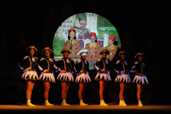 1_abendsitzung_2013_172_20161211_1045071359