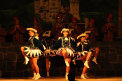 1_abendsitzung_2013_180_20161211_1573691725