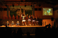 1_abendsitzung_2013_181_20161211_1217135664