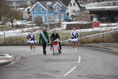 Faschingszug 2013