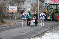 faschingszug_2013_026_20161211_2023292363