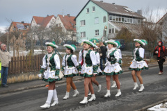 faschingszug_2013_075_20161211_1564324514
