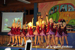 1_abendsitzung_2014_100_20161211_1373384057