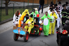 faschingszug_2014_015_20161211_1701343987
