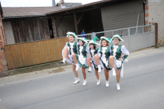 faschingszug_2014_100_20161211_2023229071