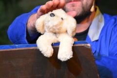 2_abendsitzung_2015_140_20161211_2002431047