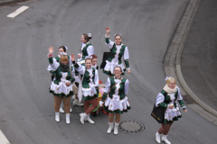 faschingszug_2015_004_20161211_1352175038