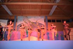 1_abendsitzung_2017_191_20170212_1551599026