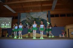 1_abendsitzung_2017_43_20170212_1273953699