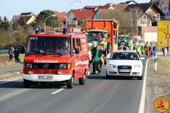 Faschingszug 2017 vom Boden