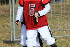 faschingszug_boden_2017_143_20170225_1428401678