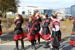 faschingszug_boden_2017_15_20170225_1386793095