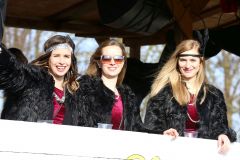 faschingszug_boden_2017_212_20170225_1043614541