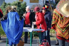 faschingszug_boden_2017_95_20170225_1013951008