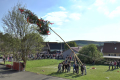 maibaum_2017_11_20170504_1648913139