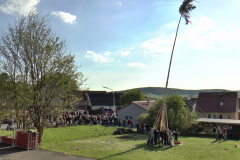 maibaum_2017_14_20170504_1358938737