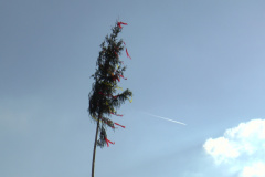 maibaum_2017_20_20170504_1740793260