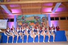 abendsitzungen_2018_159_20180206_1909980305