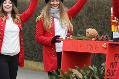 faschingszug_155_20180210_1269719173