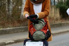 faschingszug_15_20180210_1970238015