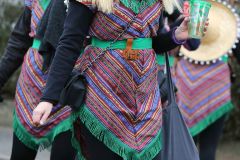 faschingszug_201_20180210_1449844021