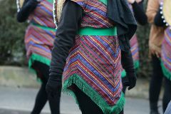 faschingszug_202_20180210_1544427645