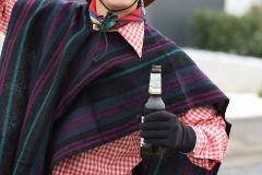 faschingszug_255_20180210_1905443503