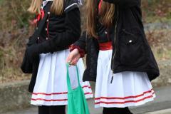 faschingszug_2019_199_20190302_1642291326