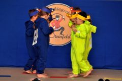 kinderfasching_2019_5_20190225_1545113803