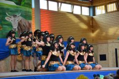 kinderfasching_2020_24_20200217_1174731164