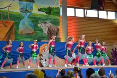 kinderfasching_2020_37_20200217_1946279861