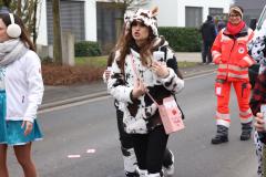 faschingszug_2024_215_20240210_1817246791