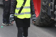 Faschingszug_2025_115