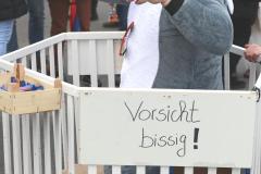 Faschingszug_2025_269
