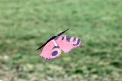 Faschingszug_2026_033