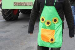 Faschingszug_2026_209