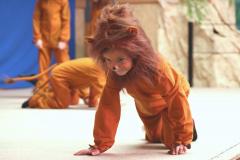 Kindersitzung_2026_020