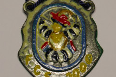 FCS_Orden_2000